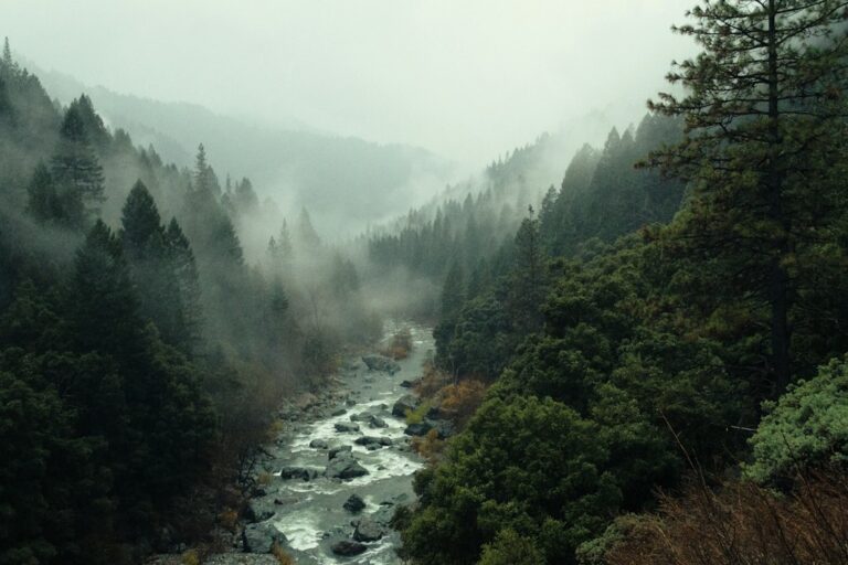 Bosque y paisaje natural para ilustrar oportunidades de adaptación climática